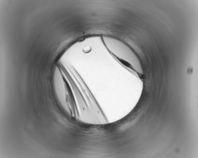 X0000090500207200708102248