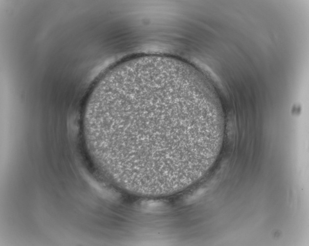 X0000090500208200708102248