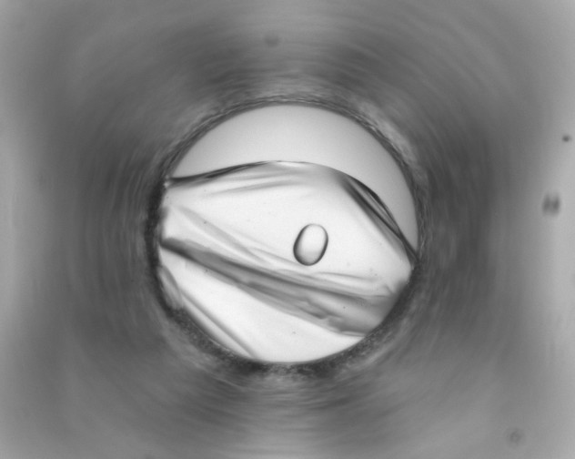 X0000090500209200708102248