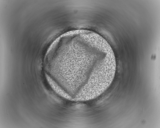 X0000090500210200708102248