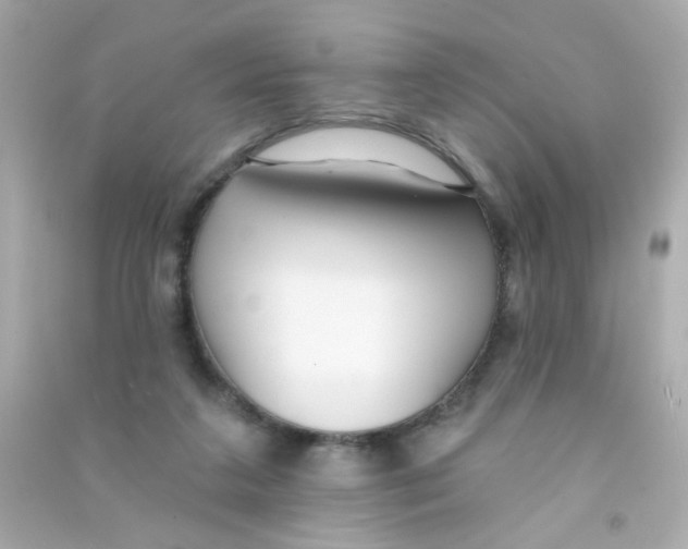 X0000090500211200708102248