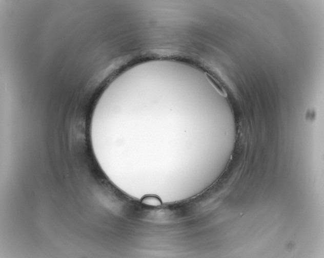 X0000090500212200708102248