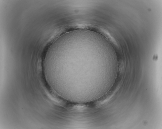 X0000090500213200708102248