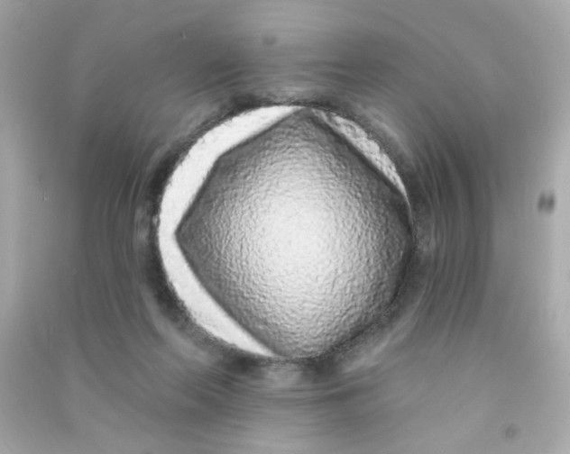 X0000090500214200708102248