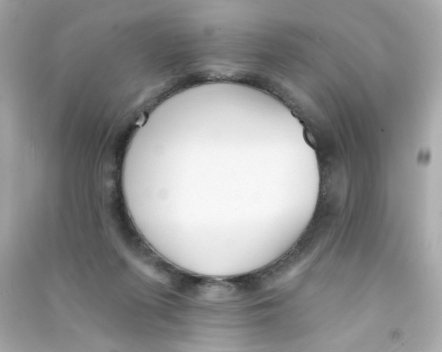 X0000090500215200708102248