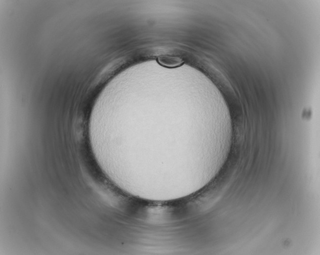 X0000090500216200708102248