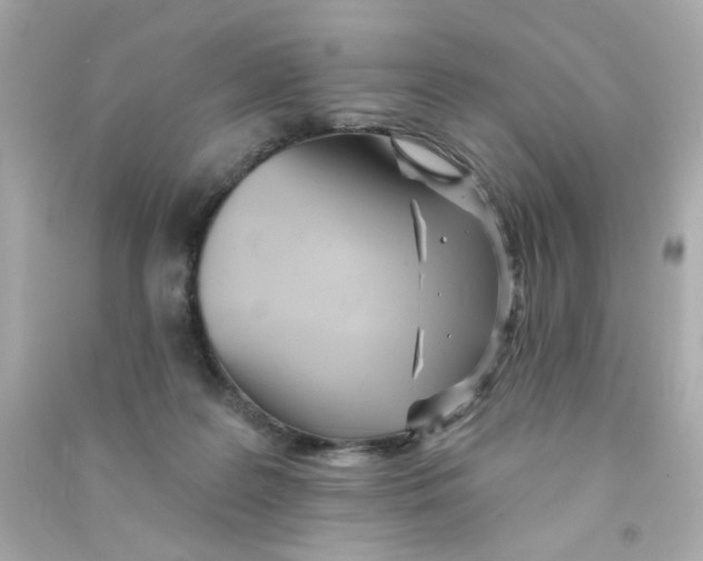 X0000090500219200708102248