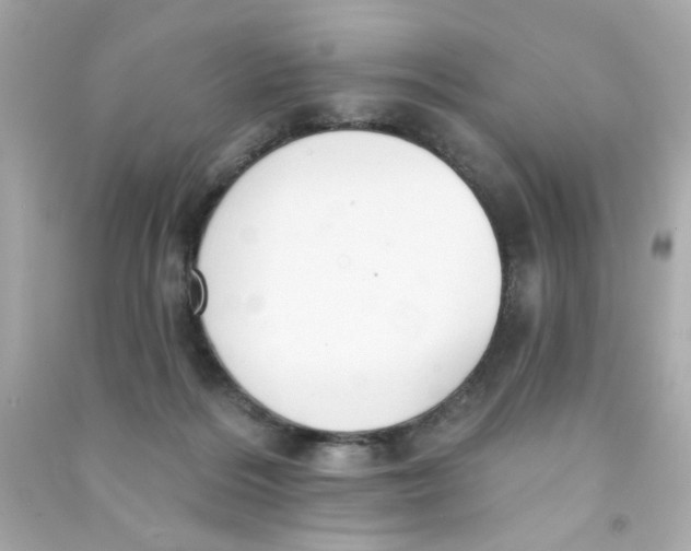 X0000090500220200708102248