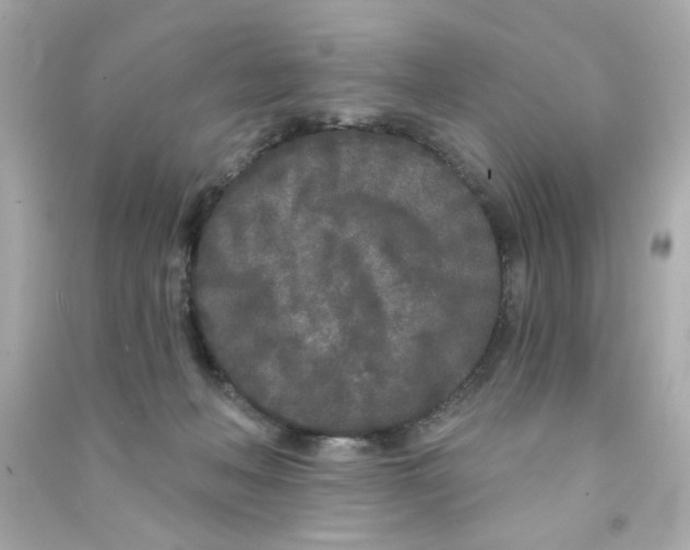 X0000090500222200708102248