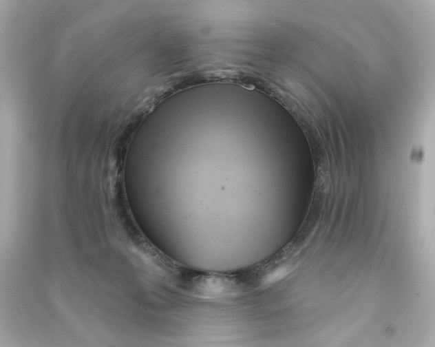 X0000090500223200708102248