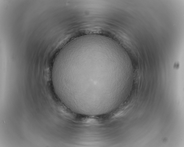 X0000090500224200708102248