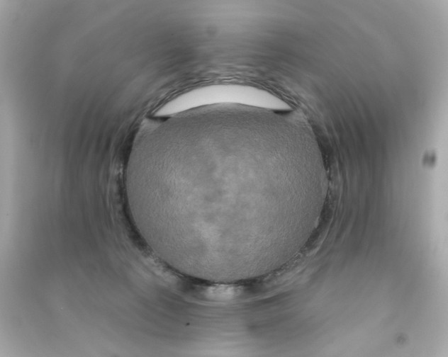 X0000090500225200708102248