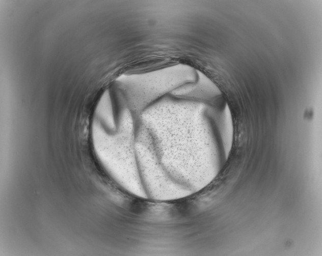 X0000090500226200708102248