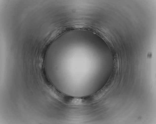 X0000090500227200708102248