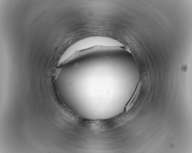 X0000090500229200708102248