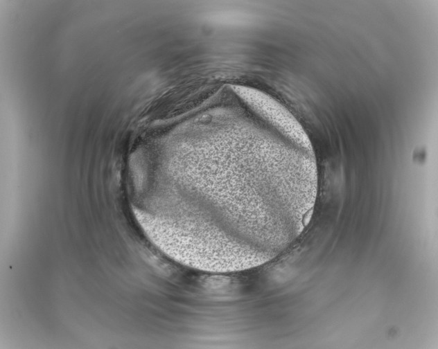 X0000090500230200708102248