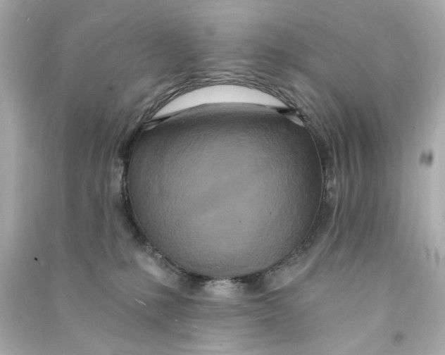 X0000090500231200708102248