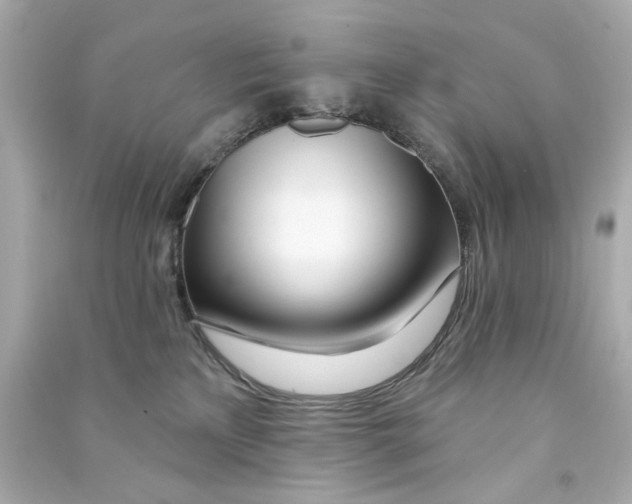 X0000090500233200708102248
