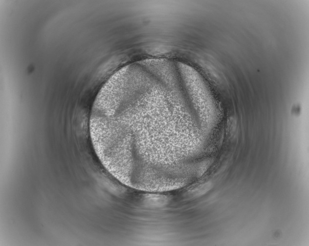 X0000090500234200708102248