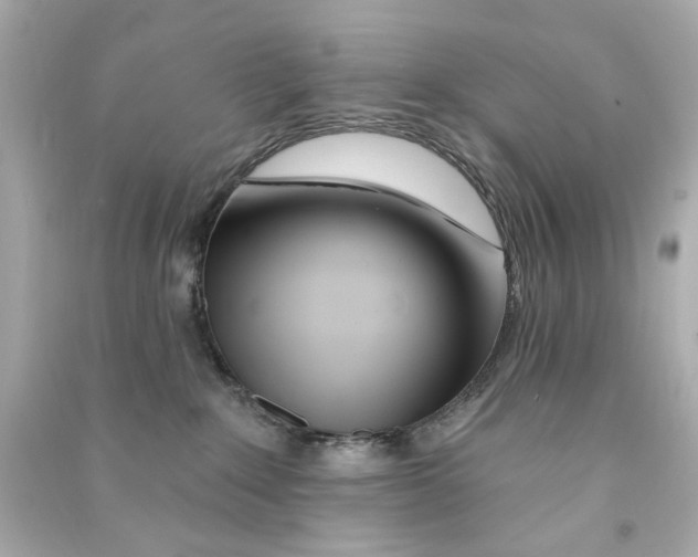 X0000090500235200708102248