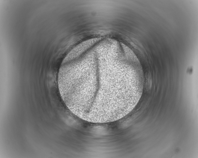 X0000090500236200708102248