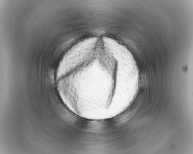 X0000090500238200708102248