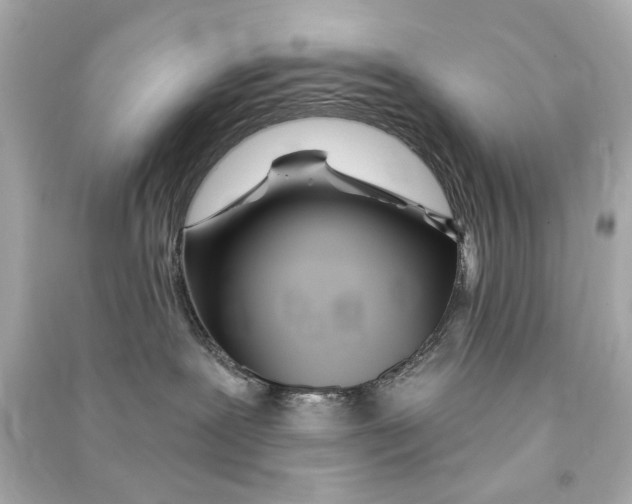 X0000090500239200708102248