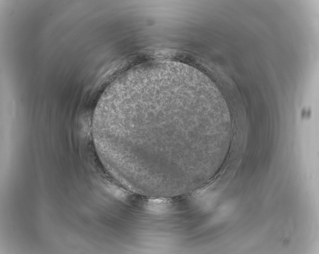 X0000090500240200708102248