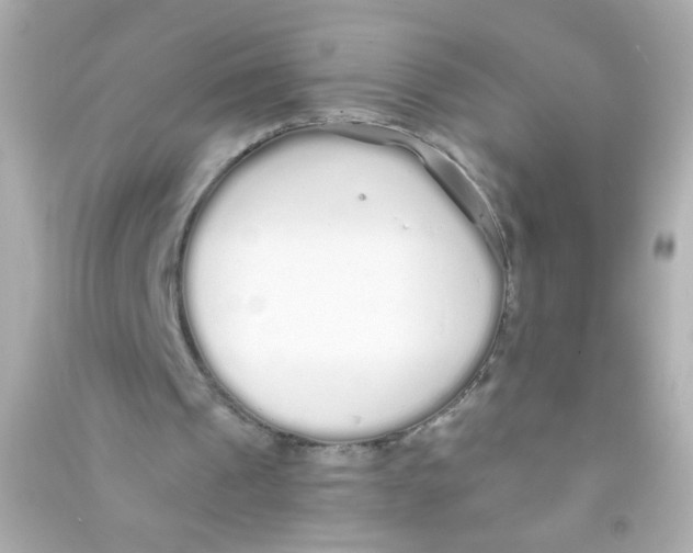 X0000090500241200708102247