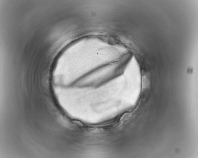 X0000090500243200708102247