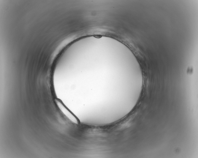 X0000090500244200708102247