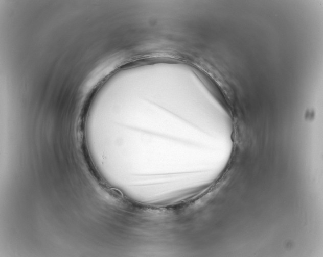 X0000090500245200708102247