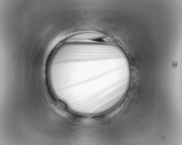 X0000090500246200708102247