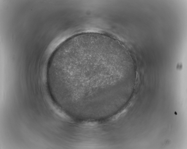 X0000090500247200708102247