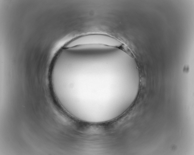 X0000090500248200708102247