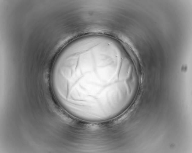 X0000090500249200708102247