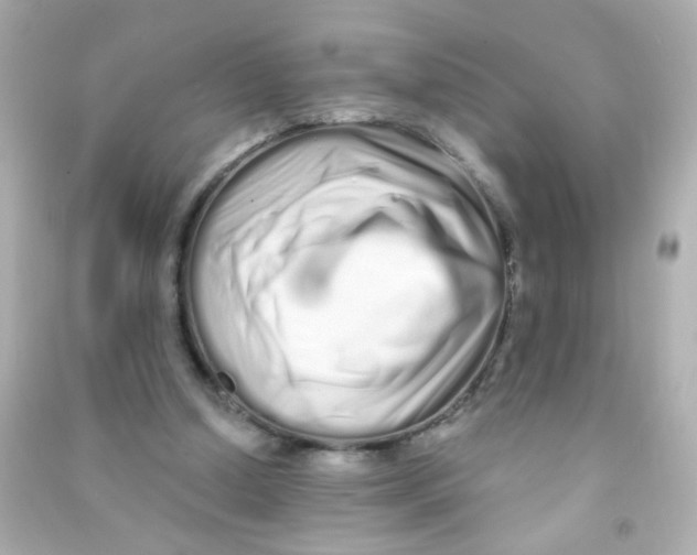 X0000090500250200708102247