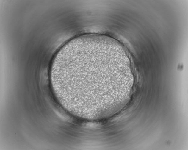 X0000090500251200708102247