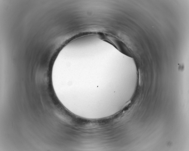 X0000090500252200708102247