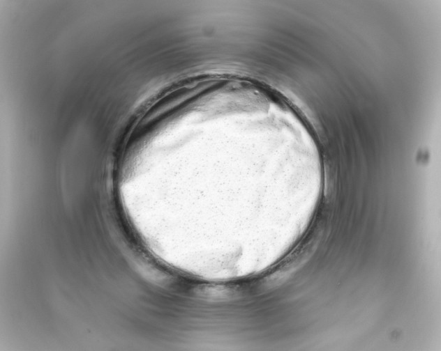X0000090500253200708102247