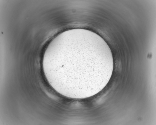 X0000090500254200708102247