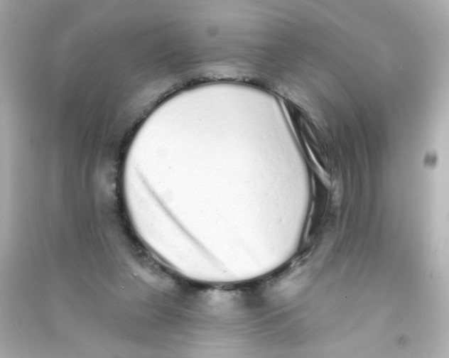 X0000090500255200708102247