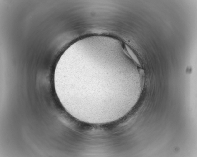 X0000090500256200708102247