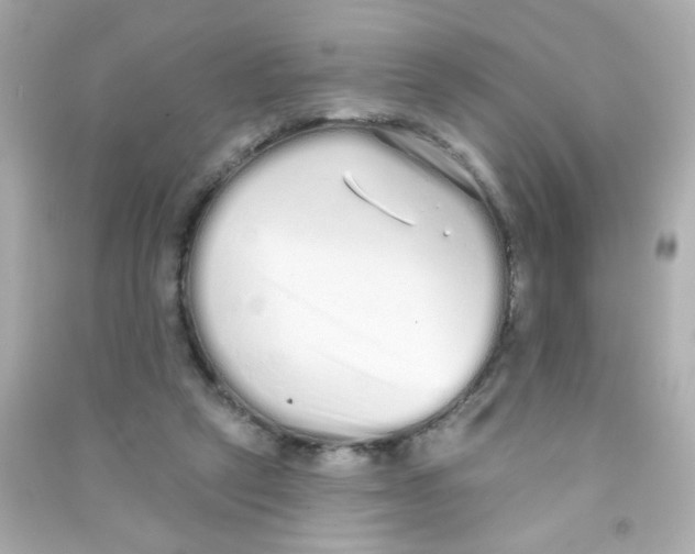 X0000090500257200708102247