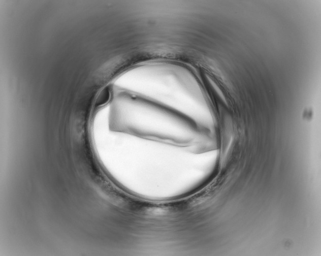X0000090500259200708102247