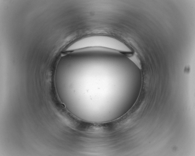 X0000090500260200708102247