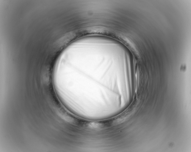X0000090500261200708102247
