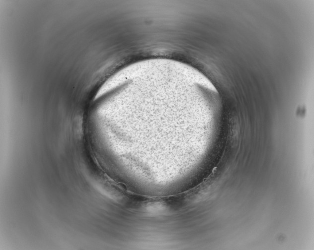 X0000090500262200708102247