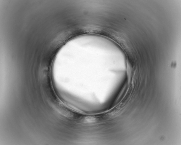 X0000090500263200708102247