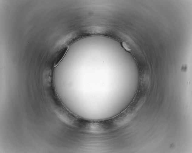X0000090500264200708102247